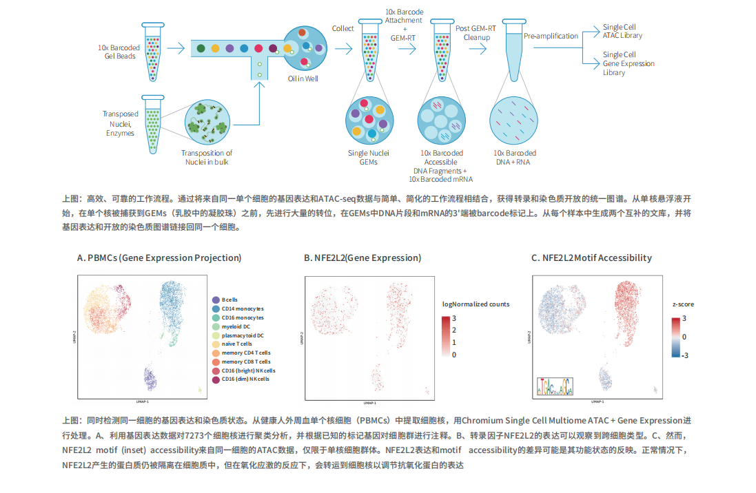 1604633141181653.png 1604633141181653.png